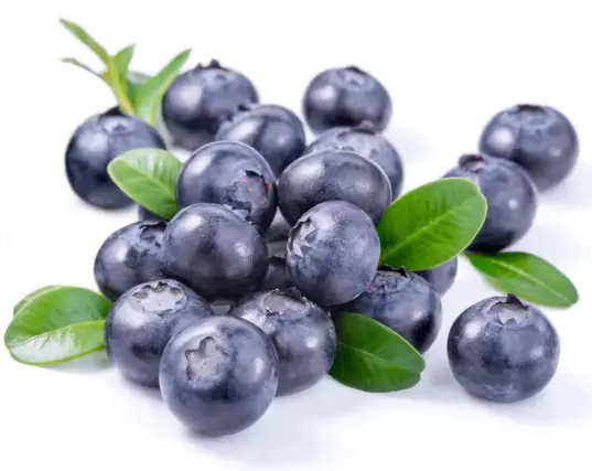 Bilberry Extract Powder