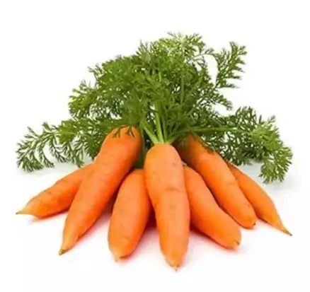 Beta Carotene Powder Beta Carotene Powder