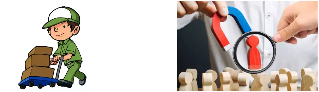 Beta Carotene Powder Beta Carotene Powder