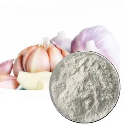 Garlic Extract Powder