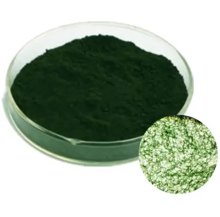 Spirulina Powder