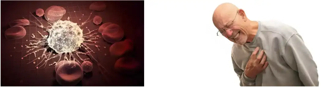 Lycopene Powder Lycopene Powder