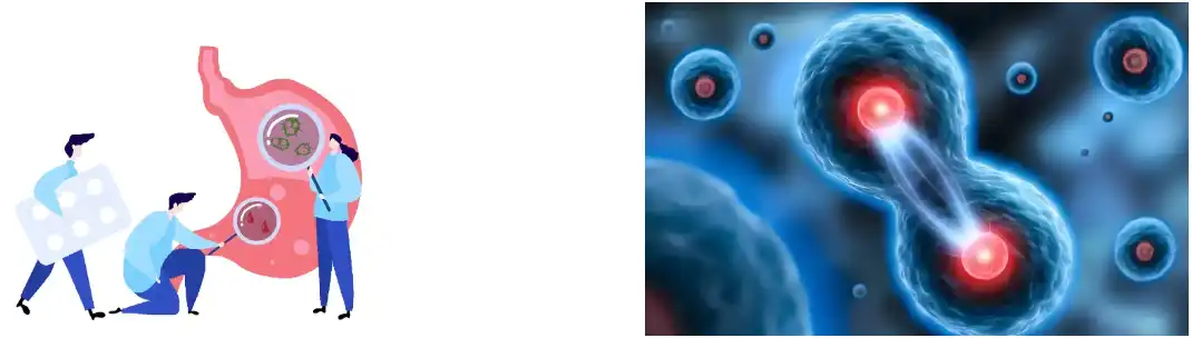 Citrus Aurantium Extract Citrus Aurantium Extract