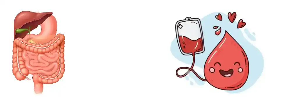 Resveratrol Powder Resveratrol Powder