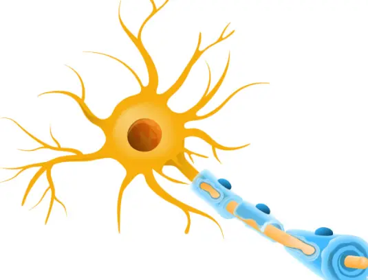 Resveratrol Powder suppliers