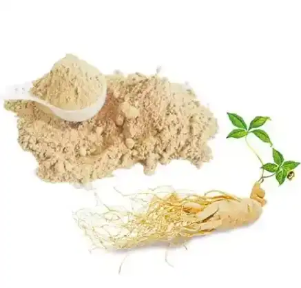 Panax Ginseng Extract Powder
