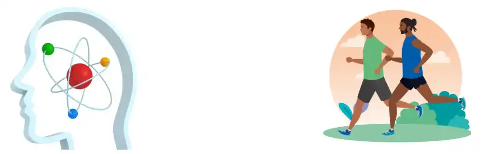 Panax Ginseng Extract Powder