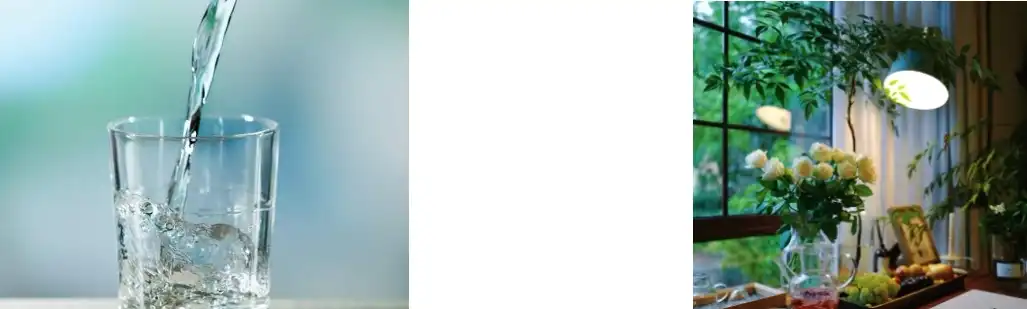 Coriolus Versicolor Extract Coriolus Versicolor Extract