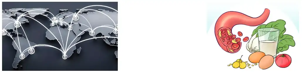 Flaxseed Extract Powder factory