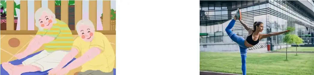 Extracto en po de berberina Hcl Extracto en po de berberina Hcl