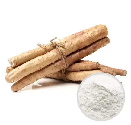 Wild Yam Extract Powder Wild Yam Extract Powder