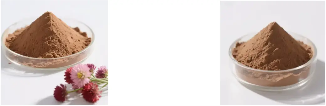 Red Clover Extract Powder