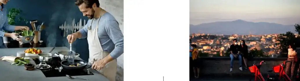 Fenugreek Extract Powder Fenugreek Extract Powder