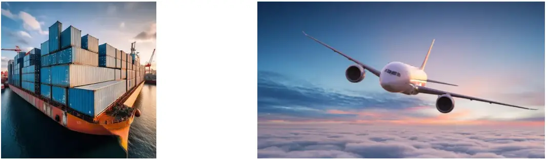 Shilajit Extract Powder