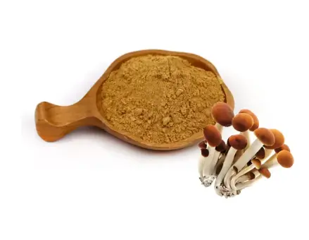 Agrocybe Aegerita Extract Agrocybe Aegerita Extract