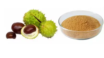 Horse Chestnut Extract Powder Horse Chestnut Extract Powder