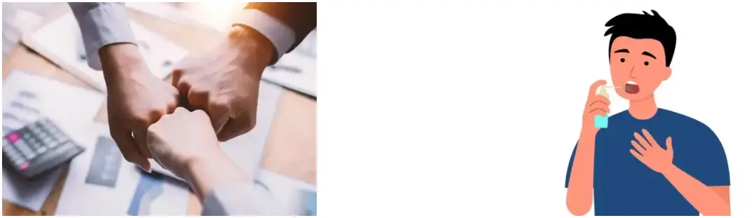 Horse Chestnut Extract Powder Horse Chestnut Extract Powder