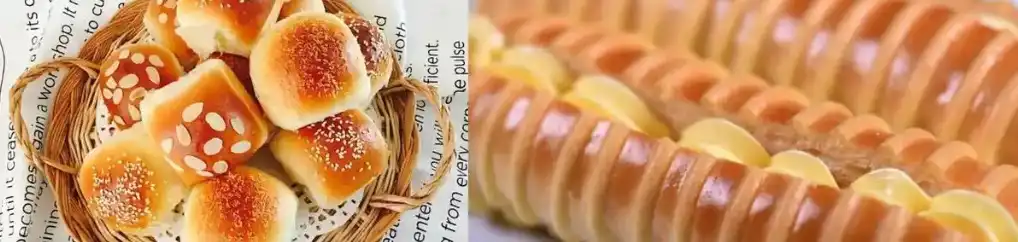 Agaricus Blazei Extract Agaricus Blazei Extract