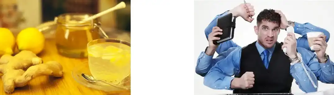 Agaricus Blazei Extract Agaricus Blazei Extract