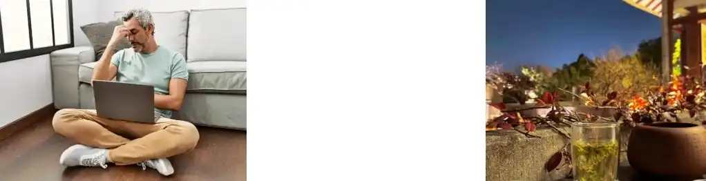 Kava Root Extract Powder Kava Root Extract Powder