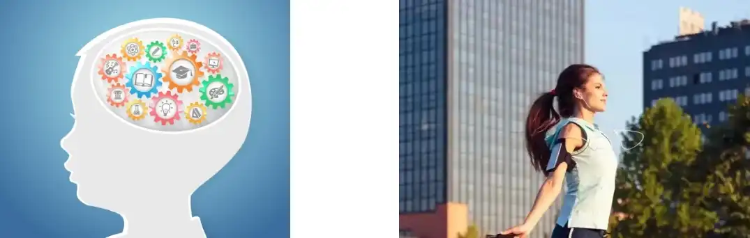 Extracto de Tongkat Ali en po Extracto de Tongkat Ali en po