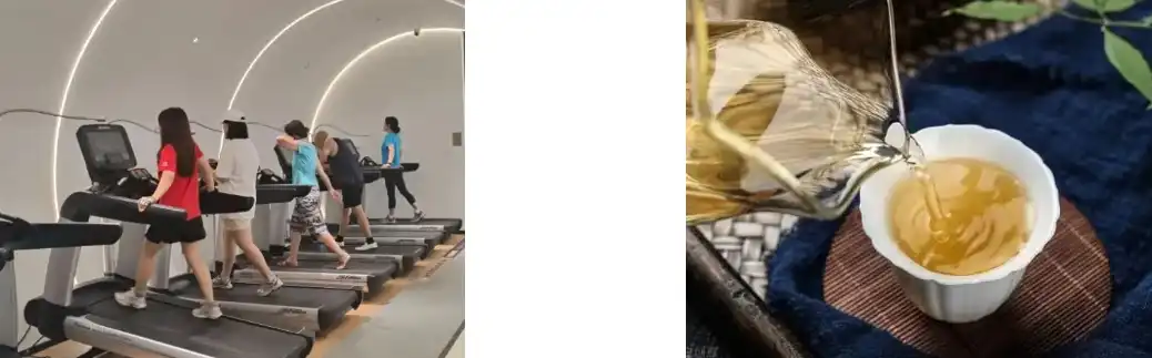 Green Tea Extract Powder Green Tea Extract Powder