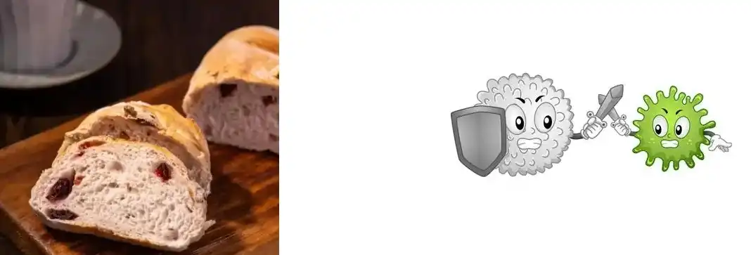 Extracto de Arandeira Extracto de Arandeira