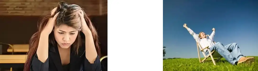 Arándano en po Arándano en po