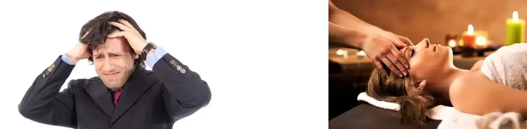 Red Clover Extract Red Clover Extract