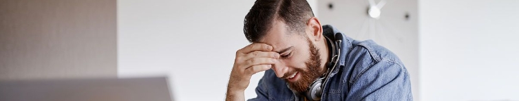 Extracto de Schisandra en po Extracto de Schisandra en po