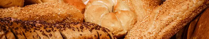 Schisandra en polvo Schisandra en polvo