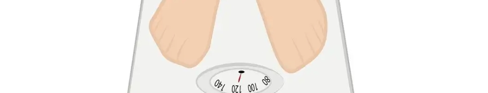 Garcinia Cambogia Extract Powder Garcinia Cambogia Extract Powder