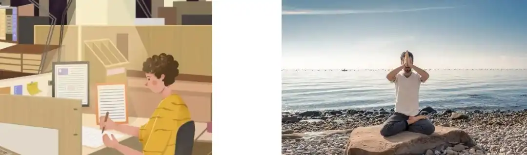 Garcinia Cambogia Extract Powder Garcinia Cambogia Extract Powder