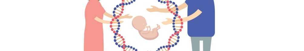 Garcinia Cambogia Extract Powder Garcinia Cambogia Extract Powder