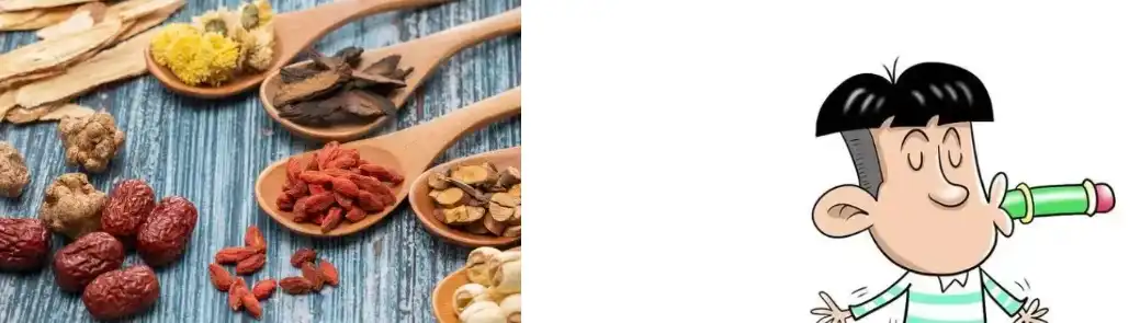 Shell-Broken Reishi Spore Powder Extract Shell-Broken Reishi Spore Powder Extract