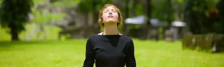 Broccoli Seed Extract Broccoli Seed Extract