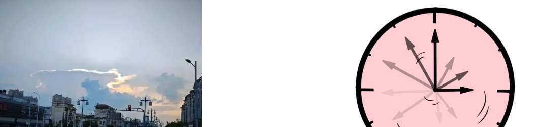 Irpex Lacteus Powder Irpex Lacteus Powder