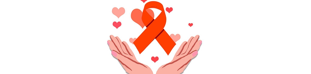 Cogomelos Shiitake en po Cogomelos Shiitake en po