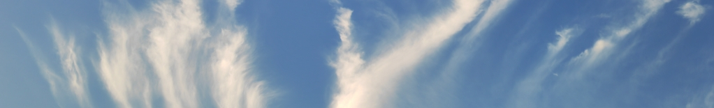 Reishi Mushroom Extract Powder Reishi Mushroom Extract Powder