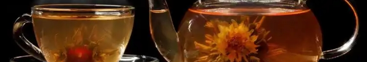 Extracto de folla de oliveira Extracto de folla de oliveira