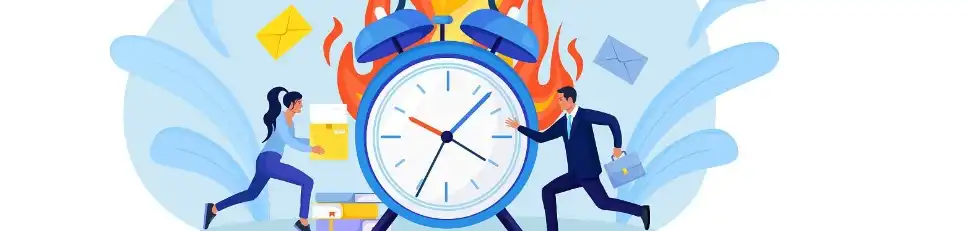 Black Elderberry Powder Black Elderberry Powder