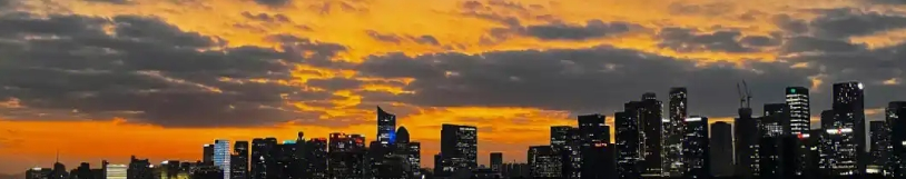 Flammulina Velutipes Extract Flammulina Velutipes Extract