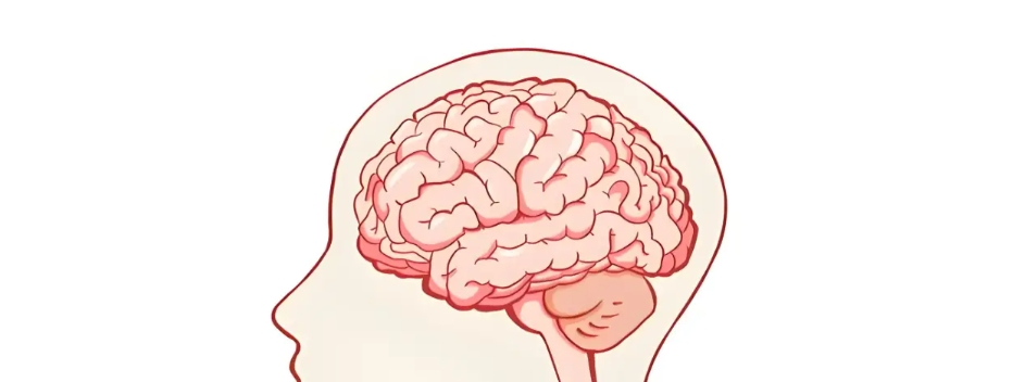 Coleus Forskohlii Powder Coleus Forskohlii Powder