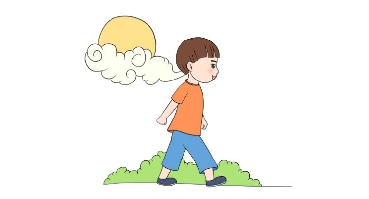 Coleus Forskohlii Extract Coleus Forskohlii Extract