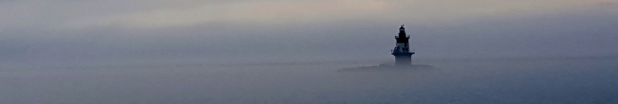 Tongkat Ali Extract Tongkat Ali Extract