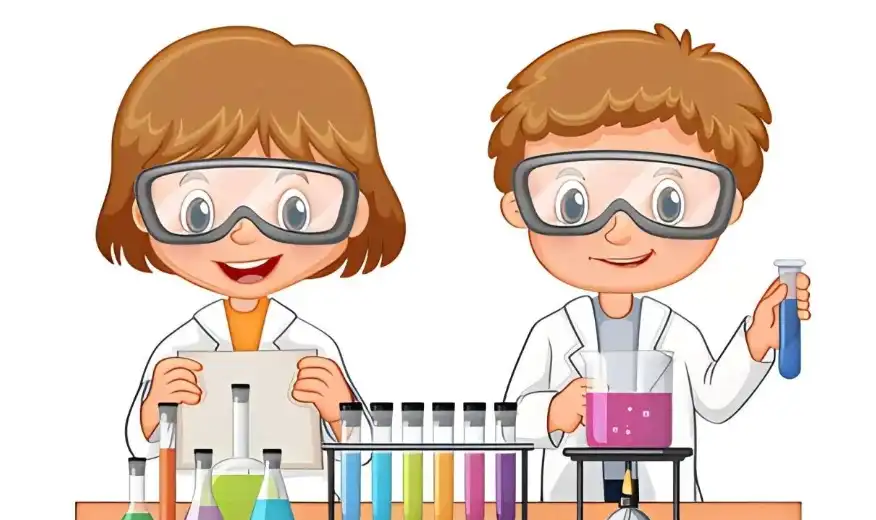 Butterfly Pea Flower Powder Butterfly Pea Flower Powder