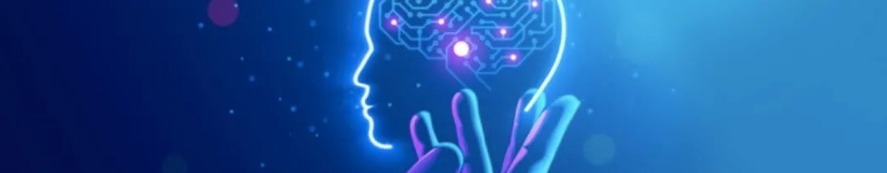 Butterfly Pea Flower Powder Butterfly Pea Flower Powder