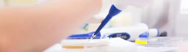 Icariin Powder Extract Icariin Powder Extract