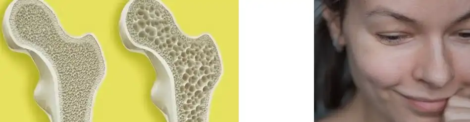 icariin powder extract