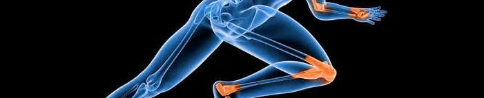 Cnidium Monnieri Extract Cnidium Monnieri Extract